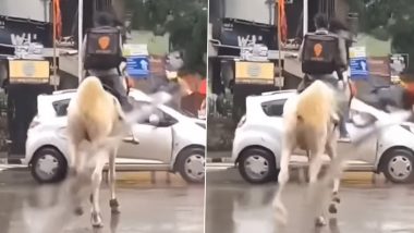 Video of Swiggy Delivery Agent Riding Horse to Drop Off Food Amid Heavy Rainfall in Mumbai Goes Viral; Internet is Taken Aback!
